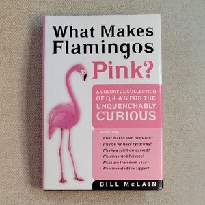 What Makes Flamingos Pink, Book For Curious Minds